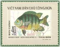 (1976-038) Марка Вьетнам "Сержант-ножница"   Тропические рыбы III Θ