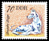 (1976-057) Марка Германия (ГДР) "Долматинец"    Собаки III Θ