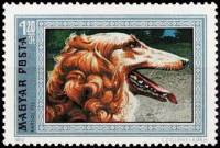 (1972-016) Марка Венгрия "Русская борзая" ,  III O