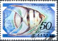 (1991-079) Марка Северная Корея "Скалярии"   Выставка ФИЛАНИППОН-91, Токио III Θ