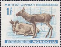 (1968-008) Марка Монголия "Северные олени"    Молодые животные III O