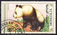 (1990-052) Марка Монголия "Большая панда"    Большая панда, или бамбуковый медведь III Θ