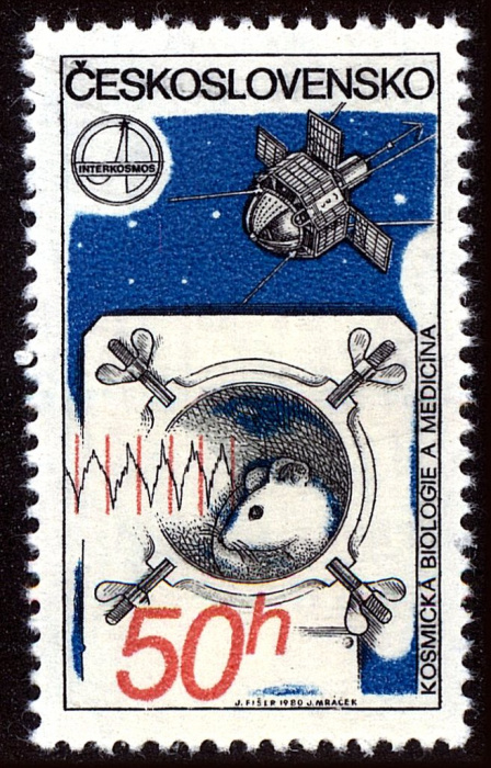 (1980-018) Марка Чехословакия &quot;Мышь в космосе&quot;    Интеркосмос. Космические исследования II Θ