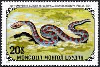 (1972-048) Марка Монголия "Обыкновенный щитомордник"    Рептилии II Θ