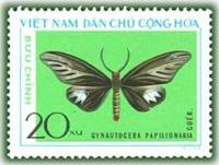 (1976-003) Марка Вьетнам "Ночная моль"   Бабочки III Θ