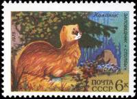 1975-074 Марка СССР Колонок  Фауна III O