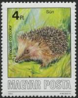 (1986-062) Марка Венгрия "Восточноевропейский ёж"    Охраняемые животные II Θ