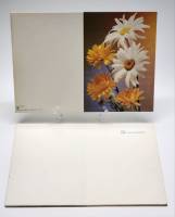 Открытка СССР 23 штуки  Поздравляю большой формат 21 х 28 см складная 1991 г 