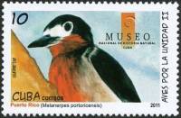 (№5511) Марка Куба 2011 год "Пуэрто-Рико Дятел Melanerpes portoricensis", Гашеная