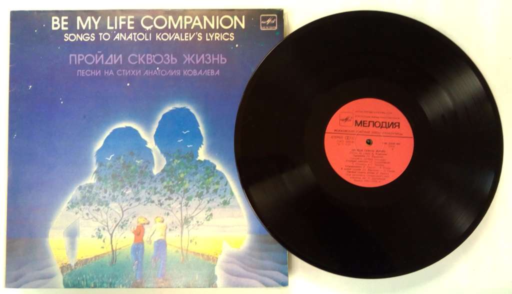 Пластинка виниловая , Пройди сквозь жизнь Мелодия 300 мм. (Сост. отл.)