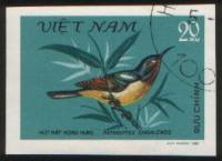 (1981-028) Марка Вьетнам "Карминнощёкая короткохвостая нектарница"    Птицы III Θ