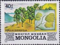 (1982-040) Марка Монголия "Ефратский тополь"    Флора Монголии III Θ