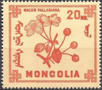 (1968-012) Марка Монголия "Яблоня ягодная"    Ягоды III O