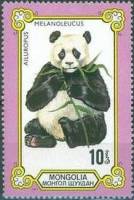(1977-071) Марка Монголия "Большая панда"    Панды, или бамбуковые медведи III O