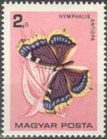(1966-007) Марка Венгрия "Траурница" ,  III O
