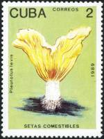 (1989-005) Марка Куба "Вешенки лави"    Съедобные грибы II Θ