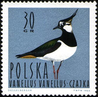 (1964-033) Марка Польша &quot;Чибис (Пигалица)&quot;   Водоплавающие птицы III Θ