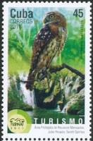 (№5554) Марка Куба 2011 год "Barelegged Сова Margarobyas lawrencii", Гашеная