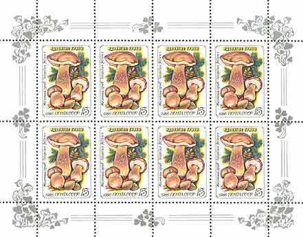 1986-038a  Лист (8 м 2х4) СССР Бумага простая  Ядовитые грибы III O