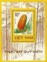 (1986-114) Блок марок  Вьетнам "Пихта грациозная"    Редкие растения III Θ