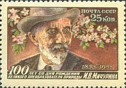 1956-043 Марка СССР Портрет (Темный фон)   И.В. Мичурин. 100 лет со дня рождения II Θ