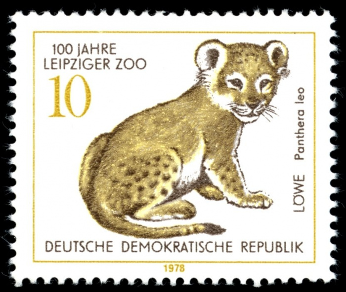 (1978-038) Марка Германия (ГДР) &quot;Трансваальский лев&quot;    Зоопарк Лейпцига, 100 лет II Θ