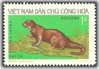 (1973-004) Марка Вьетнам "Выдра"   Дикие животные III Θ