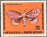 (1977-061) Марка Монголия "Коконопряд дуболистный"    Насекомые. Бабочки III Θ