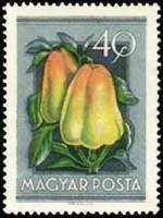 (1954-040) Марка Венгрия "Перец"    Сельскохозяйственная выставка III Θ