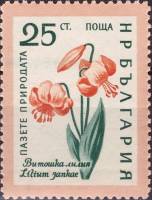 (1960-028) Марка Болгария "Лилия Янки"   Охрана природы. Цветы II Θ