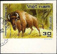 (1981-046) Марка Вьетнам "Бизон"    Дикие животные III Θ