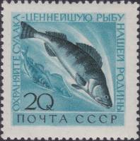 (1960-077) Марка СССР "Судак"    Фауна СССР. Охрана ценных рыб и морских животных II O