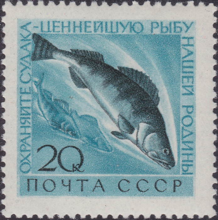 (1960-077) Марка СССР &quot;Судак&quot;    Фауна СССР. Охрана ценных рыб и морских животных II O