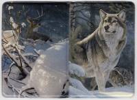 Обложка для проездного, Пластиковая, Фотопринт "Волки, олень, зимний лес"