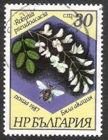 (1987-048) Марка Болгария "Робиния псевдоакация "   Пчелы и растения III O