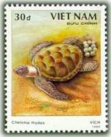 (1989-052a) Марка Вьетнам "Зелёная черепаха"  Без перфорации  Черепахи III Θ