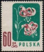 (1957-032) Марка Польша "Лилия кудреватая"   Цветы II O