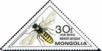 (1980-010a) Сцепка тет-беш (2 м) Монголия "Германская оса"    Насекомые III Θ