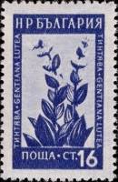 (1953-038) Марка Болгария "Горечавка (Синяя)"   Лекарственные растения Болгарии (1) II Θ