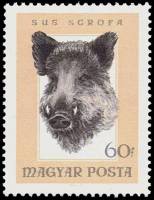 (1966-056) Марка Венгрия "Кабан"    Охота III Θ