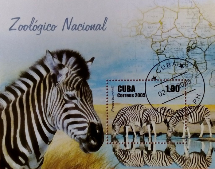 (№203) Блок марок Куба 2005 год &quot;Равнины burchelli Зебра Эквус&quot;, Негашеный