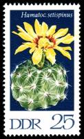 (1970-104) Марка Германия (ГДР) "Жало кактуса"    Кактусы III Θ