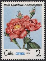 (1979-058) Марка Куба "Роза центрифолия"    Розы III Θ