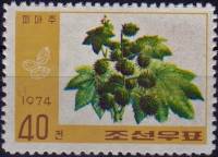 (1974-095) Марка Северная Корея "Клещевина"   Маслосодержащие растения III O