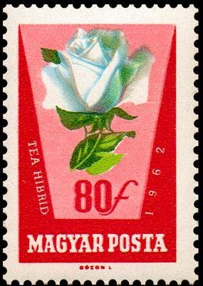 (1962-045) Марка Венгрия &quot;Белая роза&quot; ,  III O