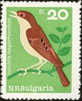 (1965-028) Марка Болгария "Соловей"   Певчие птицы II Θ
