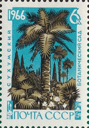 1966-070 Марка СССР Слоновая пальма   Сухумский ботанический сад III Θ