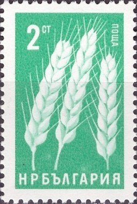 (1965-013) Марка Болгария "Пшеница"   Стандартный выпуск. Сельскохозяйственные культуры II &Theta;