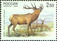 (1999-026) Марка Россия "Изюбрь-самец"   Олени III O