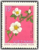 (1975-009) Марка Вьетнам "Роза гладкая"   Лечебные растения III Θ